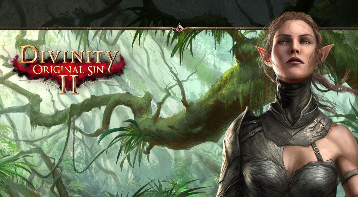 5 Best Classes In Divinity Original Sin 2 High Ground Gaming 