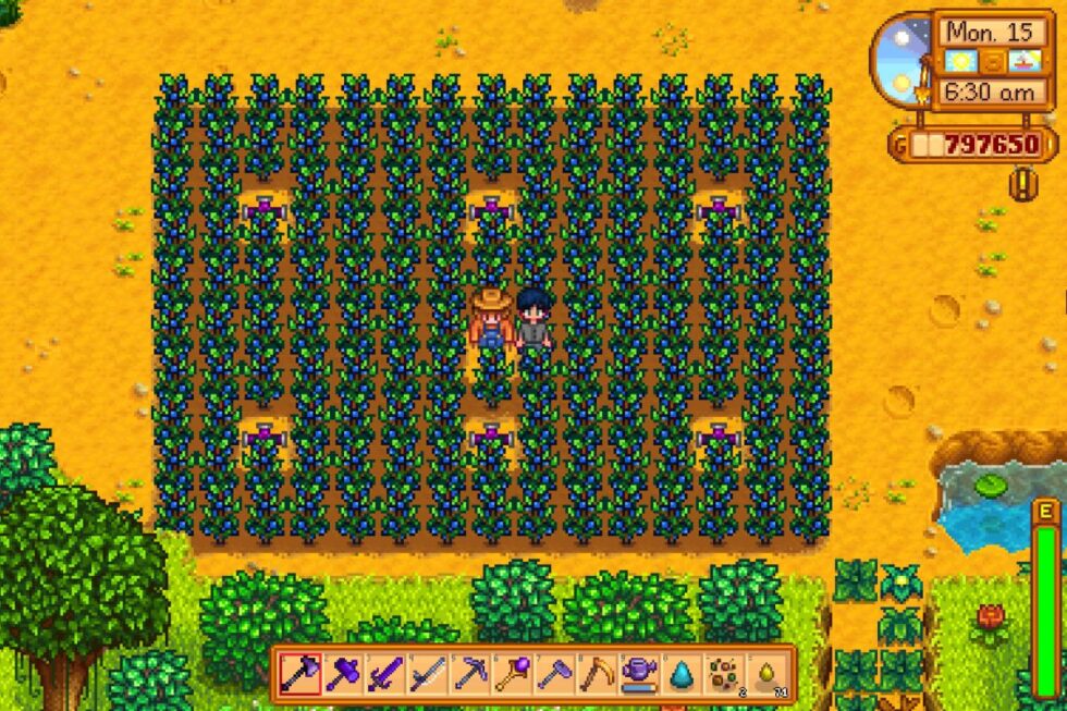 Best Summer Crops in Stardew Valley High Ground Gaming