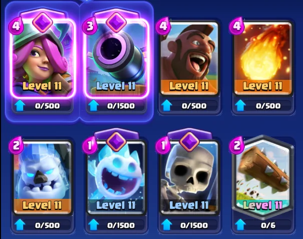 Hog Cycle + Musketeer Evo
